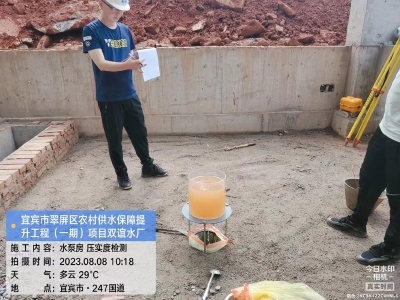 宜賓市翠屏區農村供水保障提升工程（一期）項目（雙誼水廠）