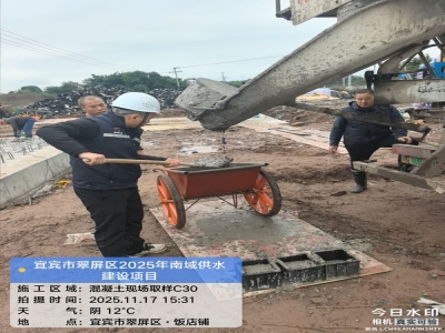 宜賓市翠屏區2025年高標準農田建設項目